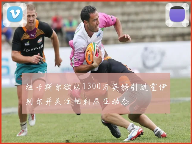 纽卡斯尔欲以1300万英镑引进霍伊别尔并关注帕利尼亚动态
