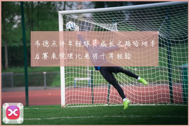 韦德点评年轻球员成长之路哈珀季后赛表现堪比老将十年经验